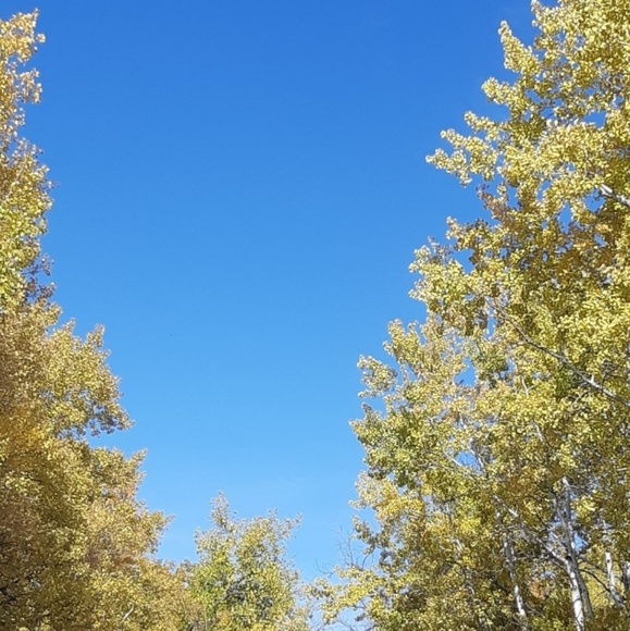 Meet your Posher, Esther - Picture 1 of 1